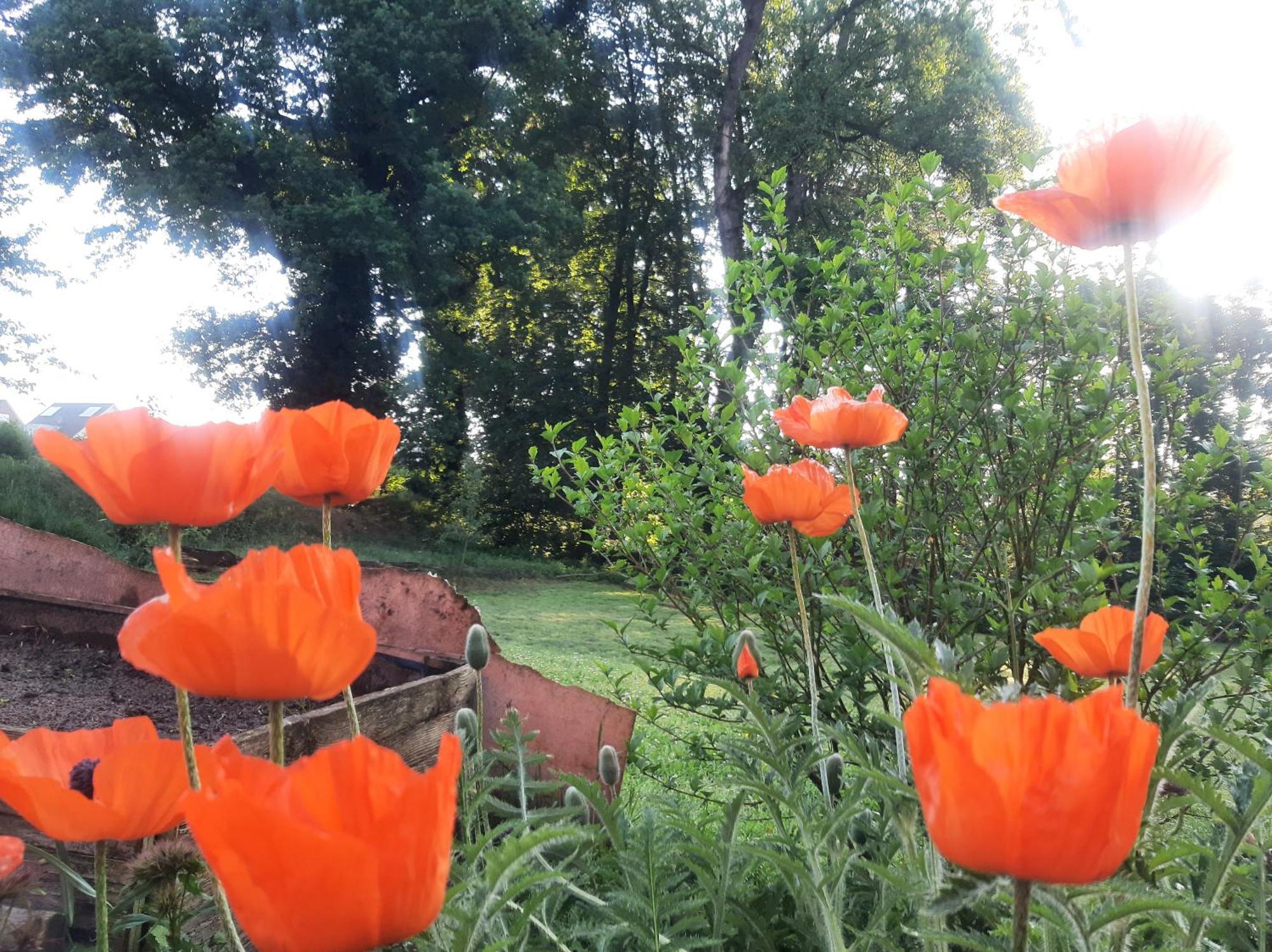 Ferienwohnung Auf Dem Land Ladbergen Экстерьер фото