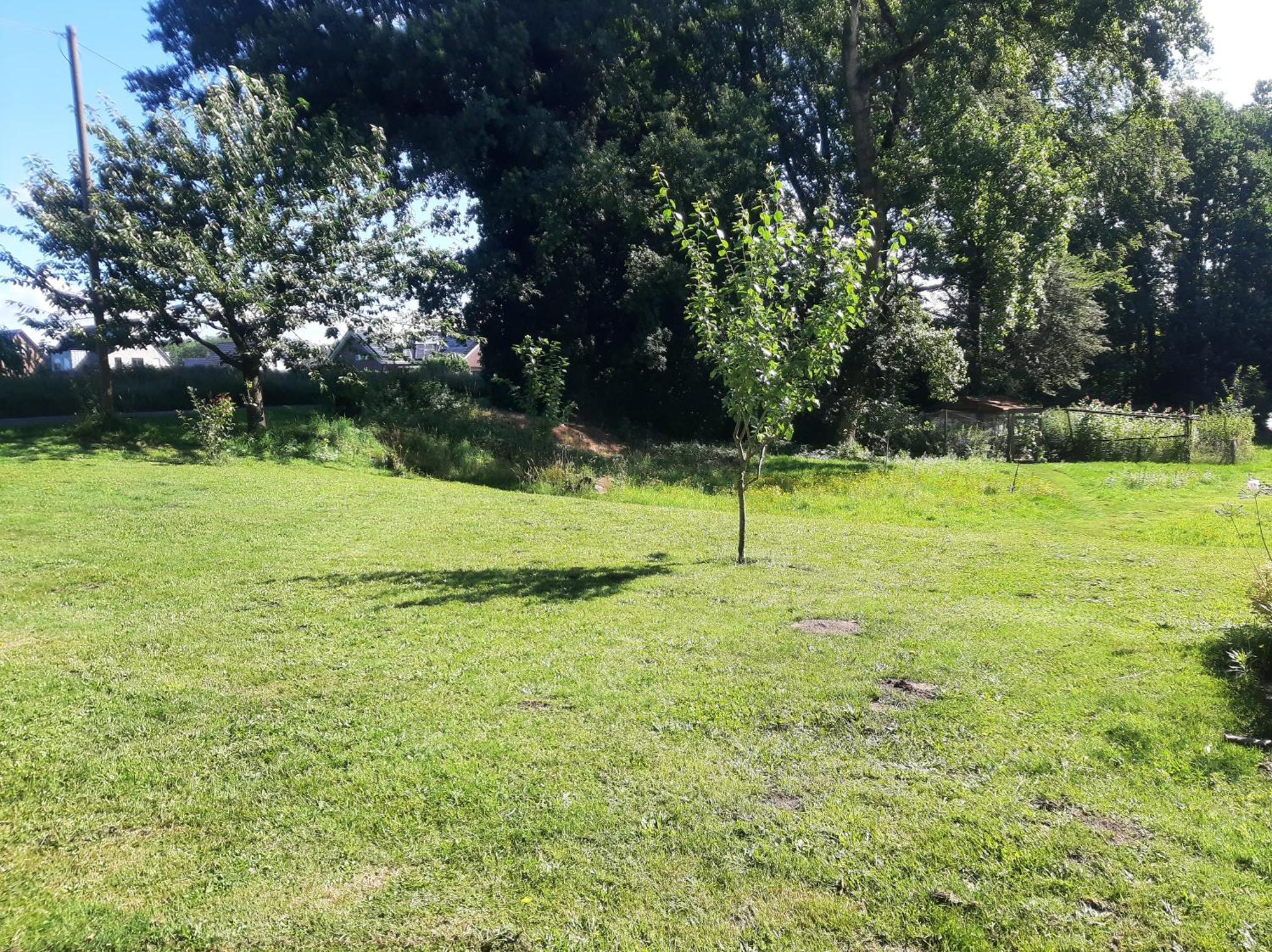 Ferienwohnung Auf Dem Land Ladbergen Экстерьер фото
